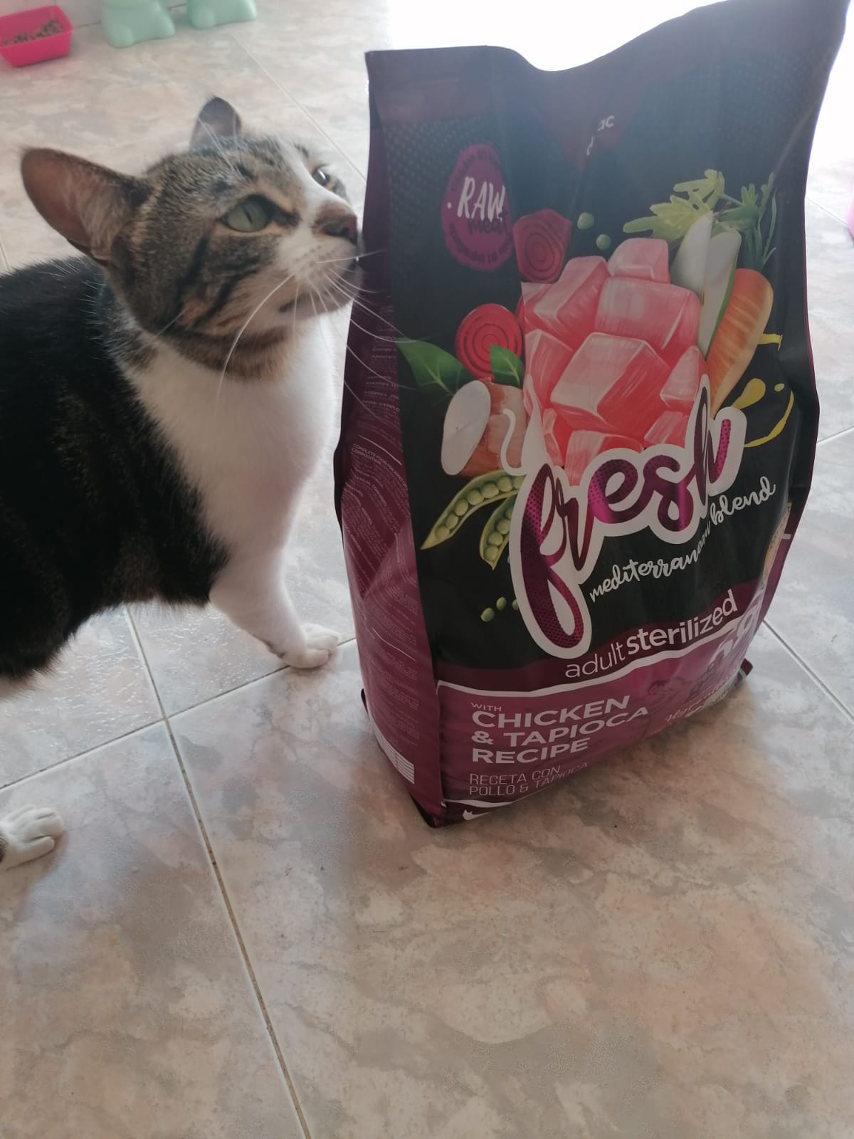 Gato con saco de fresh pollo y tapioca, alto en taurina